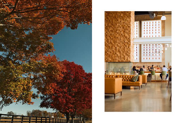 <p>Ashley Camper</p> From left: Fall foliage on the Old Frankfort Pike National Scenic Byway; the Kitchen & Bar at Bardstown Bourbon Co.