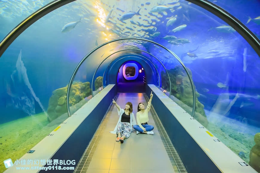 澎湖水族館