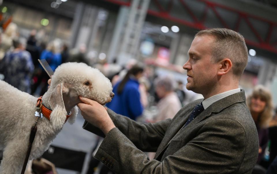 Crufts - Katja Ogrin/Getty Images