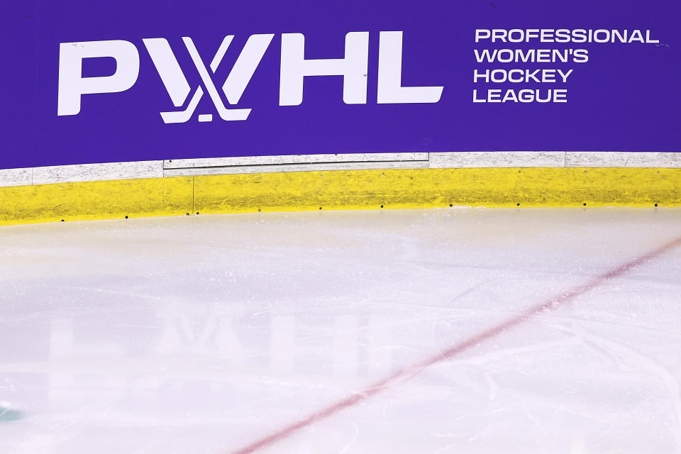 LOWELL, MASSACHUSETTS - JANUARY 03: A view of the PWHL logo on the boards during the second period of the PWHL game between the Minnesota and the Boston at Tsongas Center on January 03, 2024 in Lowell, Massachusetts. (Photo by Maddie Meyer/Getty Images)