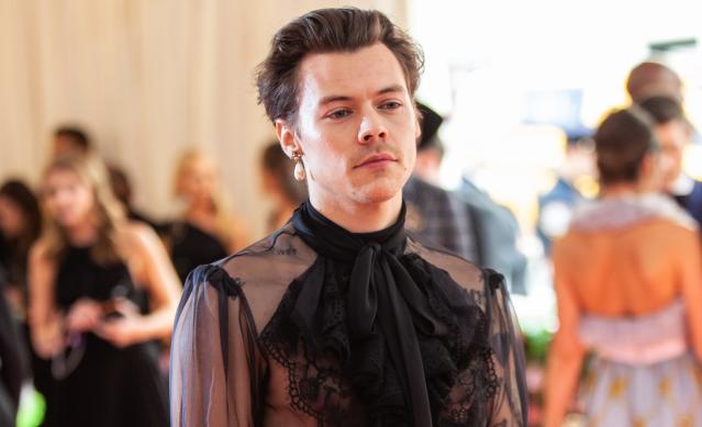 40something Anal - Harry Styles Wants More 'Tender' Sex in Gay Films, Proving He's Never Seen  Any â€” Opinion