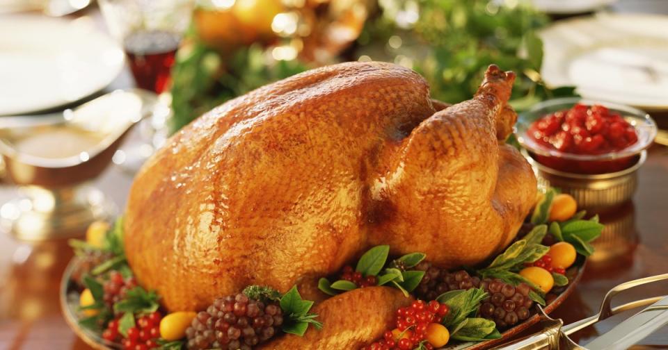The Dos and Don'ts of What Thanksgiving Foods are Safe for Your Dog