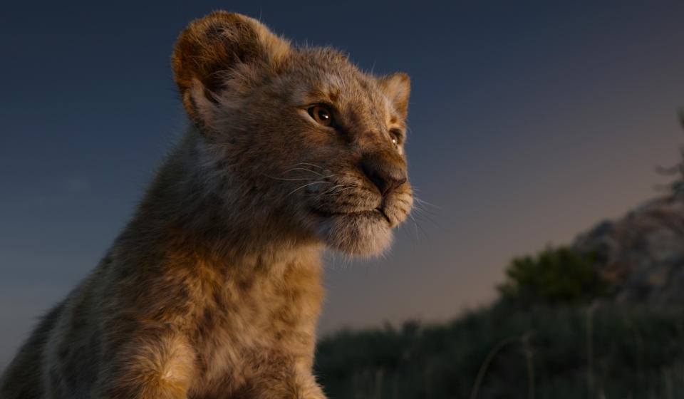 JD McCrary voices young Simba in Disney's remake of 'The Lion King' (Photo: Walt Disney Studios Motion Pictures / courtesy Everett Collection)