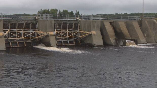 The rebuild of the Tusket dam in Yarmouth County is now expected to cost double what was originally budgeted. (CBC - image credit)