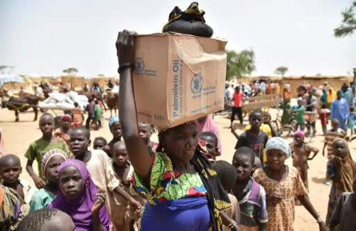 Hundreds of thousands of people in Diffa, southeastern Niger, depend on food handouts to survive (file picture)