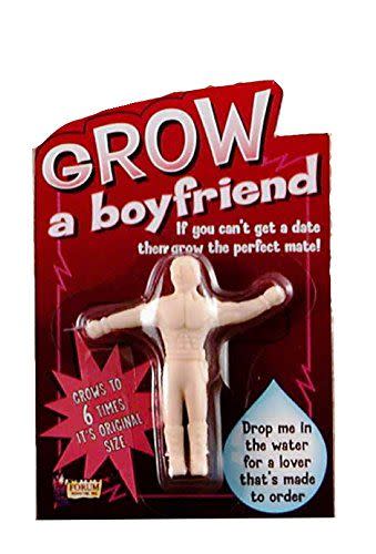 Grow a Boyfriend Toy