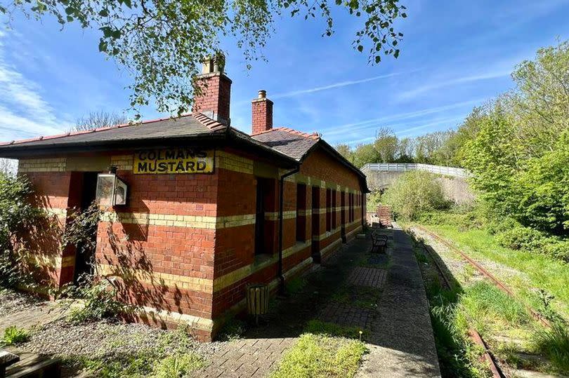 The station and its enamel signs next to the railway, now largely overgrown. The A55 tunnel is partly obscured by bushes