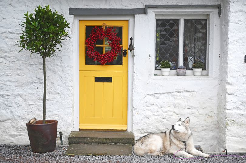 A house front, with a dog lying outside a yellow wooden door