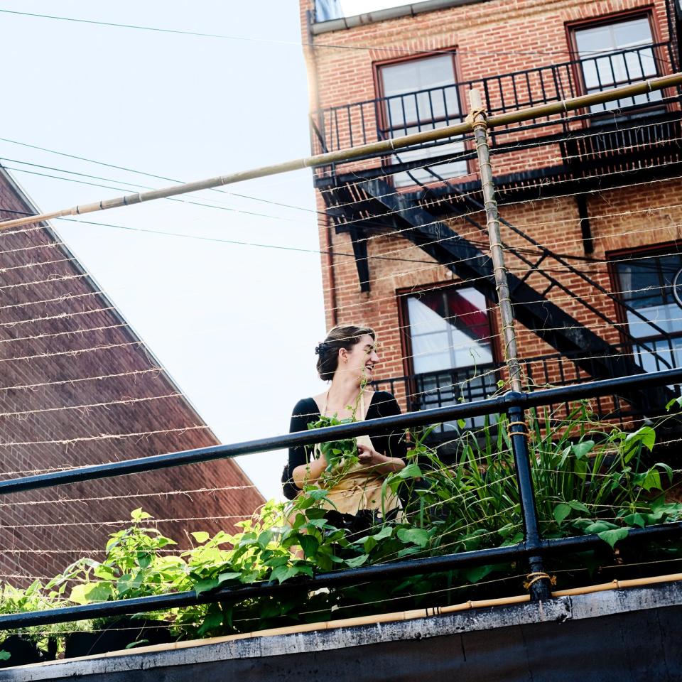 An employee gathers herbs from the shared rooftop garden.