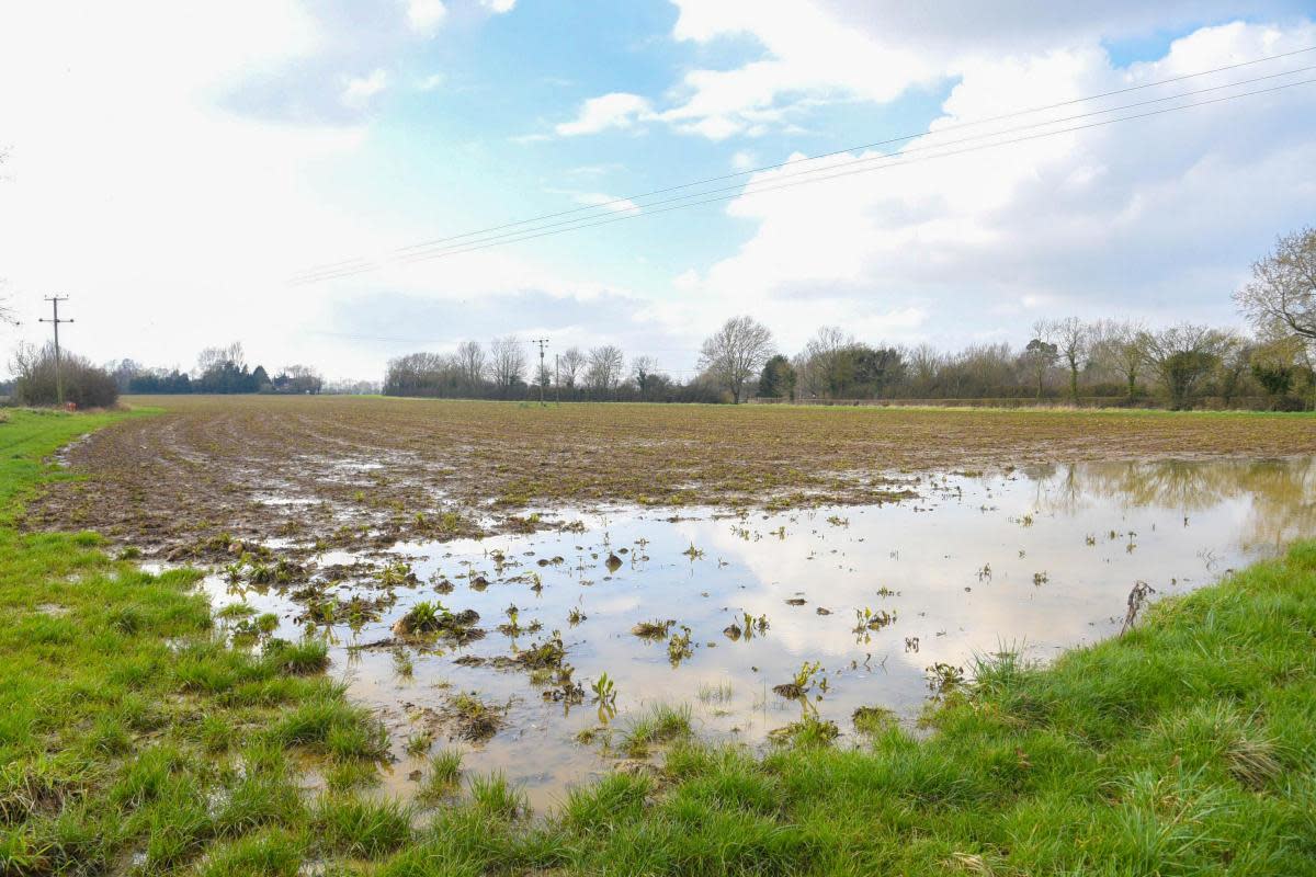 Crop fields flooded this spring have made it difficult to drill crops <i>(Image: Charlotte Bond)</i>