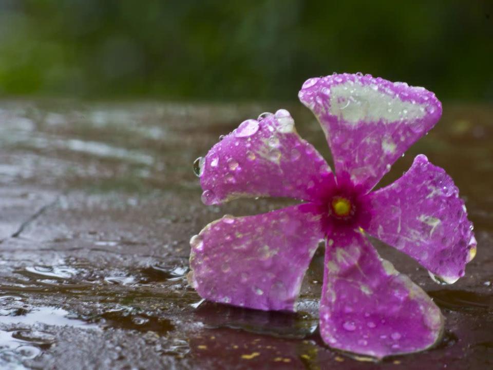 Rain on my balcony. <br><a href="http://www.flickr.com/photos/mrigsphotography/" rel="nofollow noopener" target="_blank" data-ylk="slk:Mrigaya;elm:context_link;itc:0;sec:content-canvas" class="link ">Mrigaya</a>