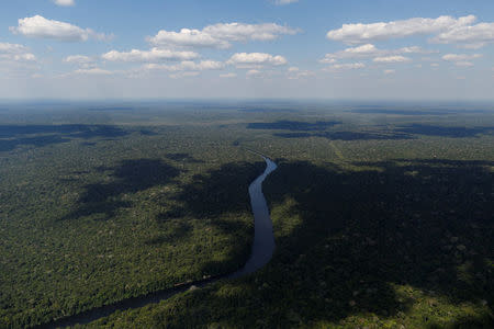 An aerial view shows the Acari river in Apui, in the southern region of the state of Amazonas, Brazil, July 28, 2017. REUTERS/Bruno Kelly