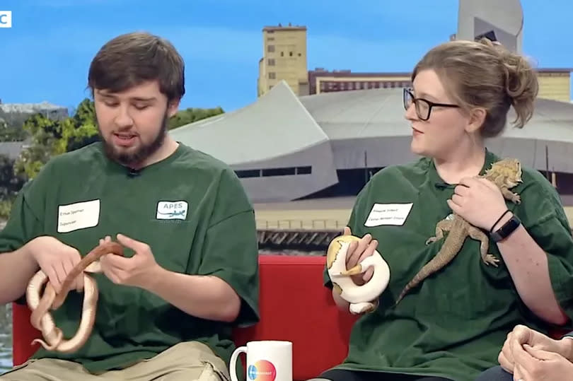 Some reptiles appeared on the show on Wednesday 1 May