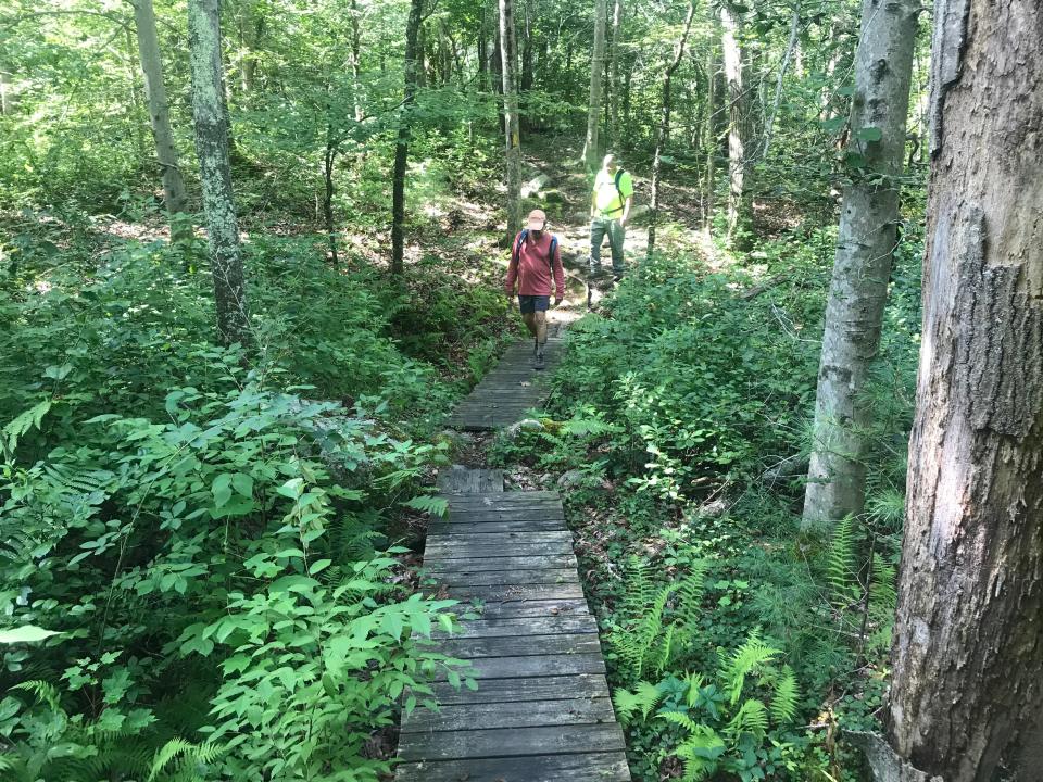 Wooden walkways and bog bridges meander over streams and wetlands on the yellow-blazed Arcadia Trail. 