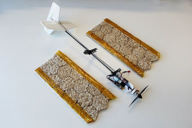 Así es el prototipo del dron comestible: las alas están hechas de galletas de arroz