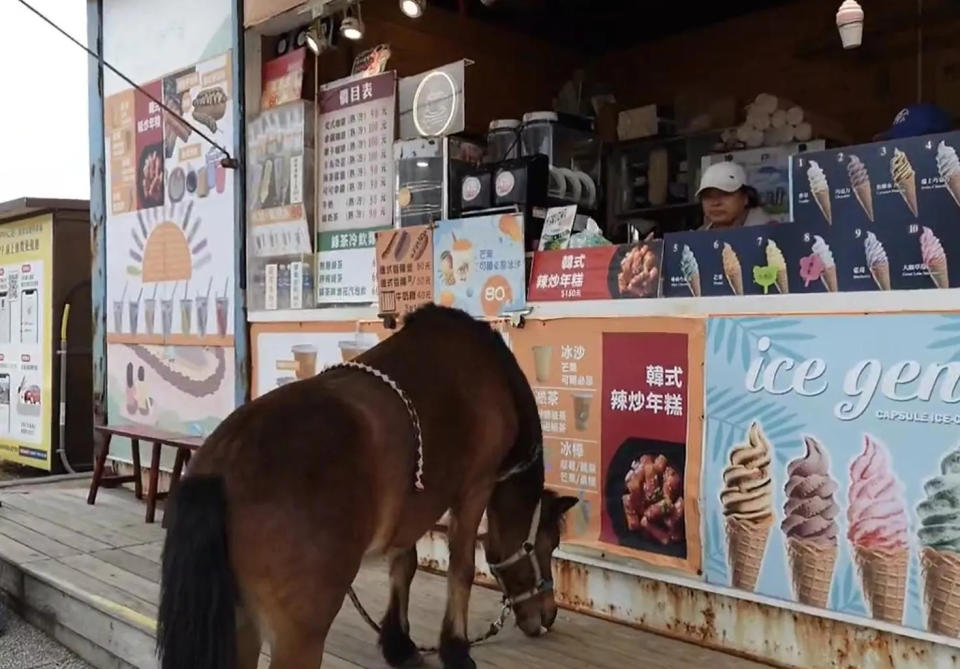 <strong>店家主動餵「巧克力」吃零食。（圖／讀者朱先生提供）</strong>