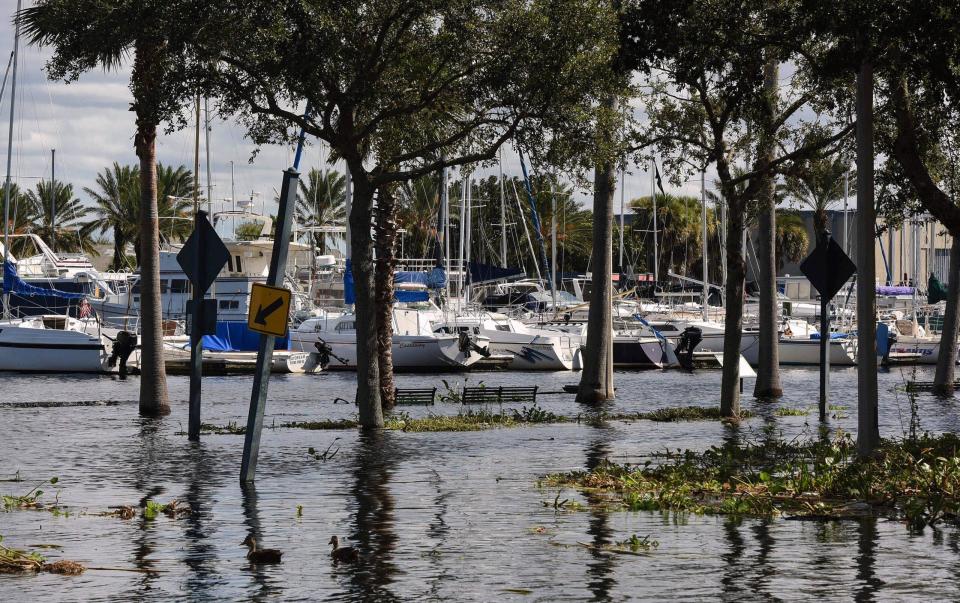 Disney World, Florida Keeps Eye On Newly Formed Tropical Depression