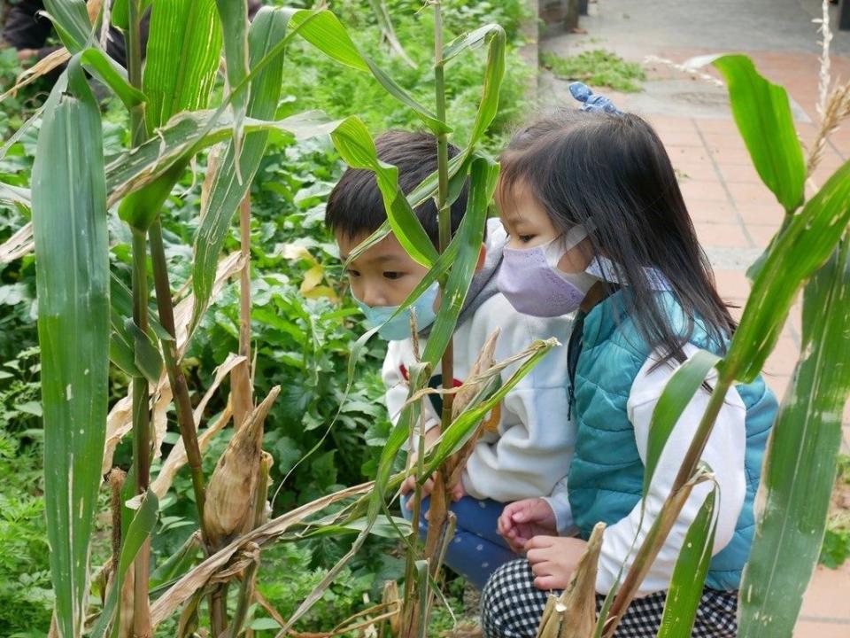 圖/台北市政府提供