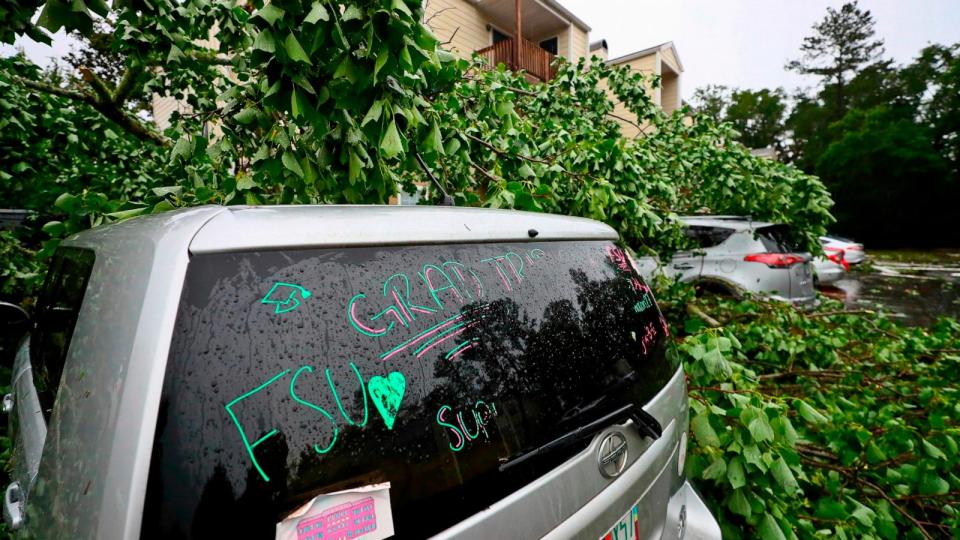 PHOTO: A car is covered by a tree outside an apartment complex in Tallahassee, Fla., May 10, 2024. (Phil Sears/AP)