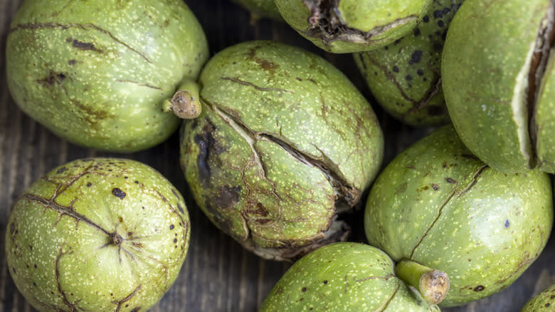 walnuts in green shell