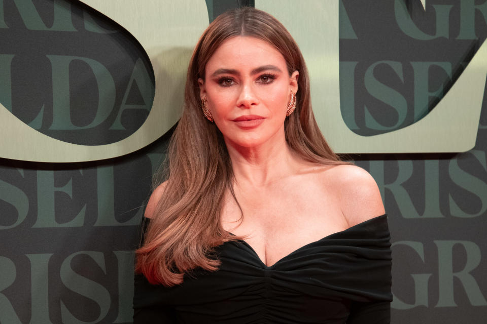 Pictured, Sofia Vergara. She has revealed her and her husband broke up after disagreeing about having children. (Getty Images)