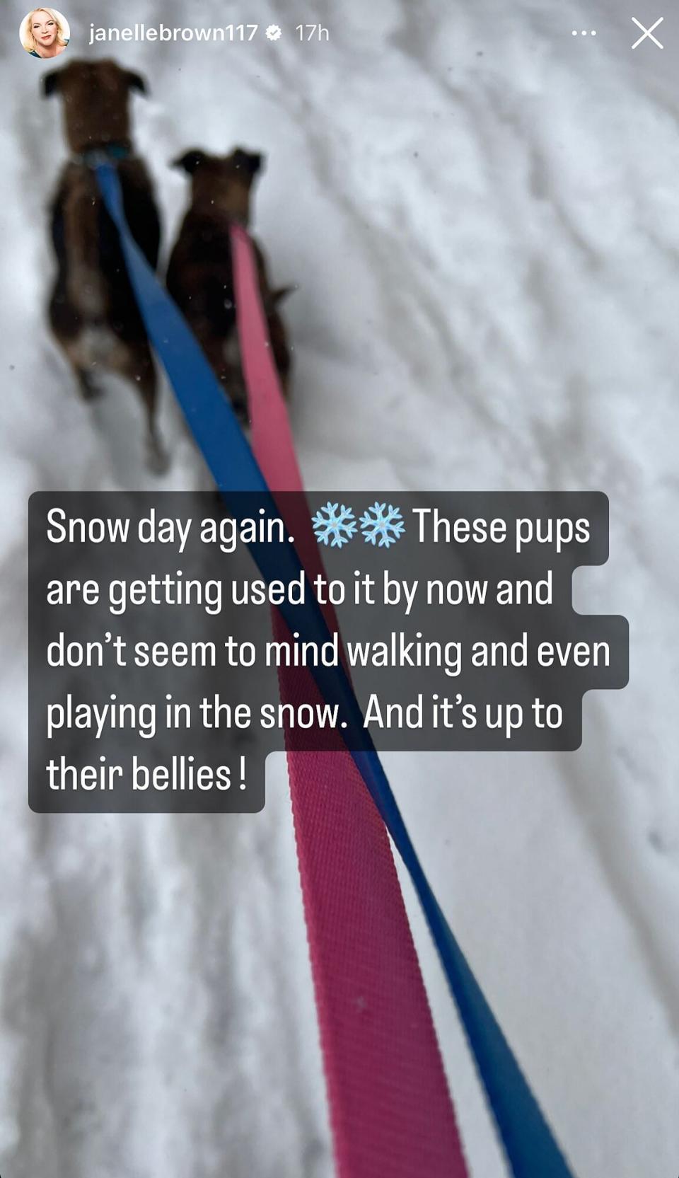 Sister Wives Stars Janelle, Meri and Gwendlyn Brown Share Peeks Inside Their March Snow Day