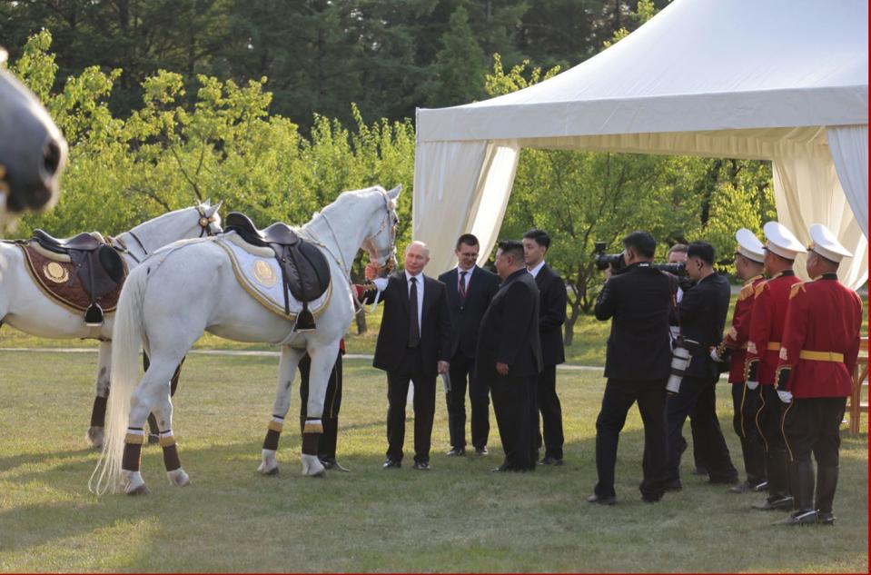 Vladimir Putin and Kim Jong Un stand in a garden and observe a white horse.