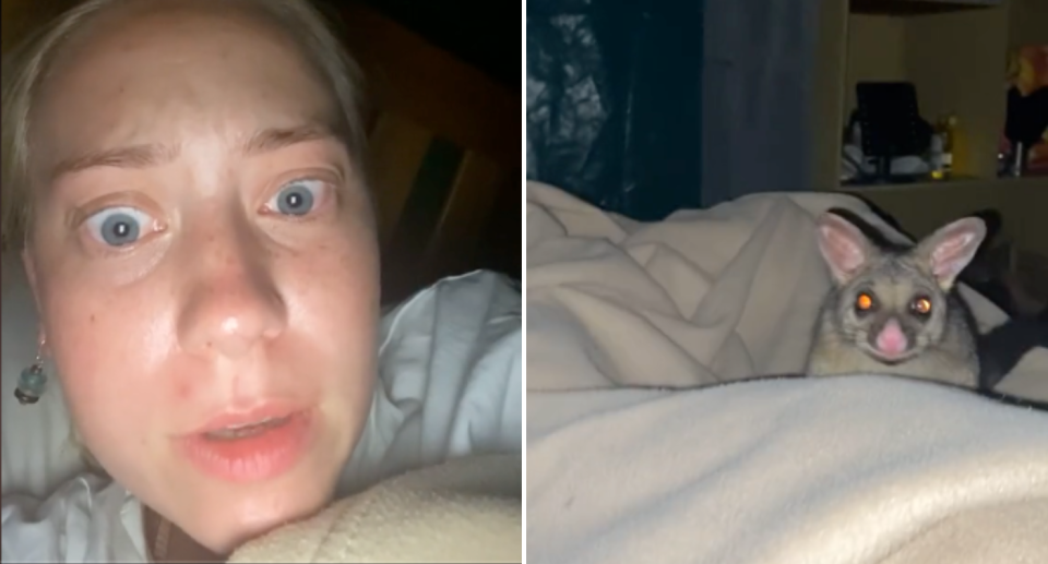 Left image is a photo of Rachel's concerned face after waking up. She has blonde hair pulled back and blue eyes. Right image shows her legs under the covers in bed with a possum sitting on top.