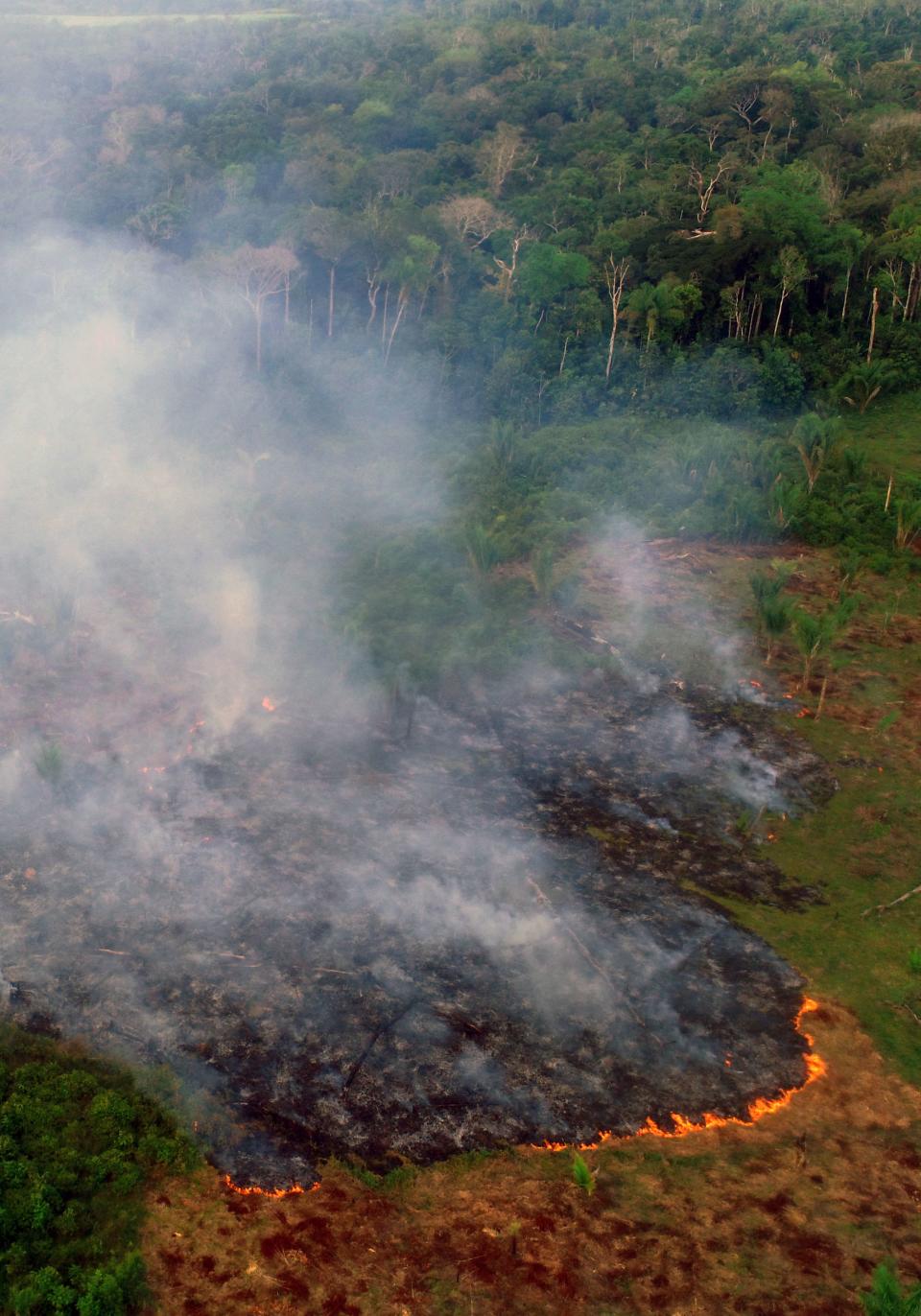 <p>También han aumentado en los dos últimos años de forma alarmante los incendios posteriores a la deforestación que preparan la tierra para explotarla en la agricultura y la ganadería. (Foto: Chico Batata / AFP / Getty Images).</p> 