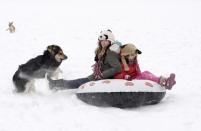 Kitty, 9, and Rousin, 6, with their dog Shaw enjoy sledging at Warley Woods Park in Birmingham (SWNS)
