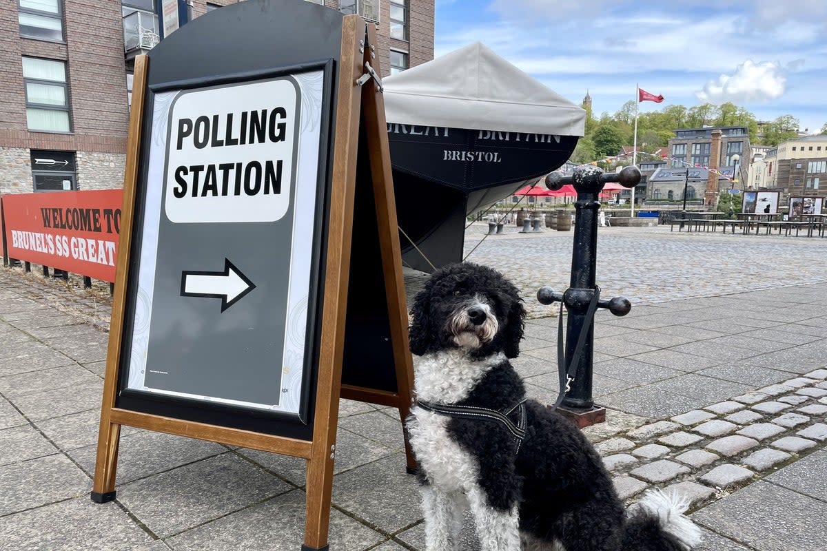 A dog waits outside a polling station (PA Archive)