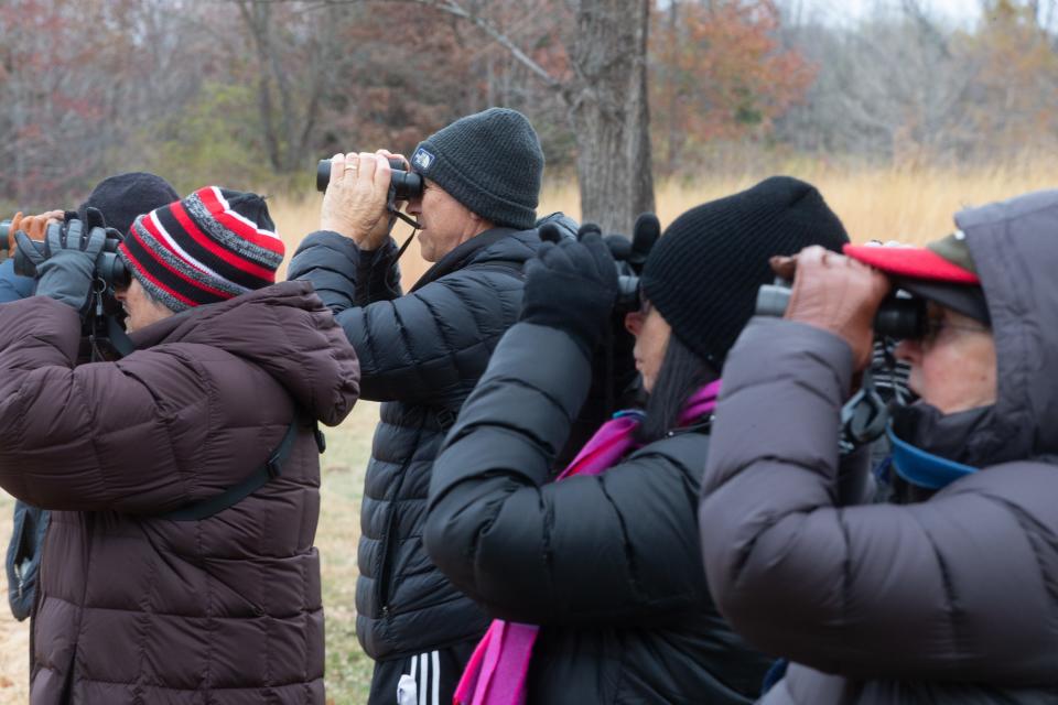 The binoculars go up for everybody at Saturday's Topeka Audubon Society's monthly bird walk at Shunga Creek after sighting cedar wax wings, warblers and robins in a patch of trees along the Orville O. Rice Memorial Nature Trail.