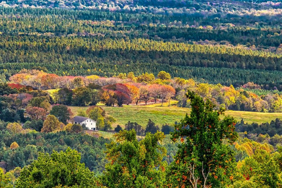 rustic view from carter mountain charlottesville, virginia usa