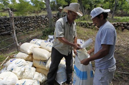 Farmers carry a bag of provisions donated by the United Nations World Food Programme (WFP) food reserves, during a distribution of food aid to families affected by the drought, in the village of Orocuina, August 28, 2014. REUTERS/Jorge Cabrera