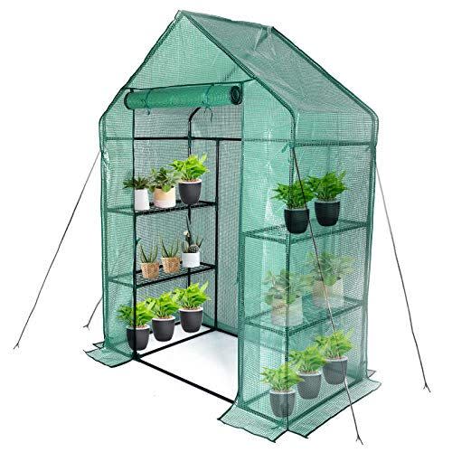 3) Mini Greenhouse Kit