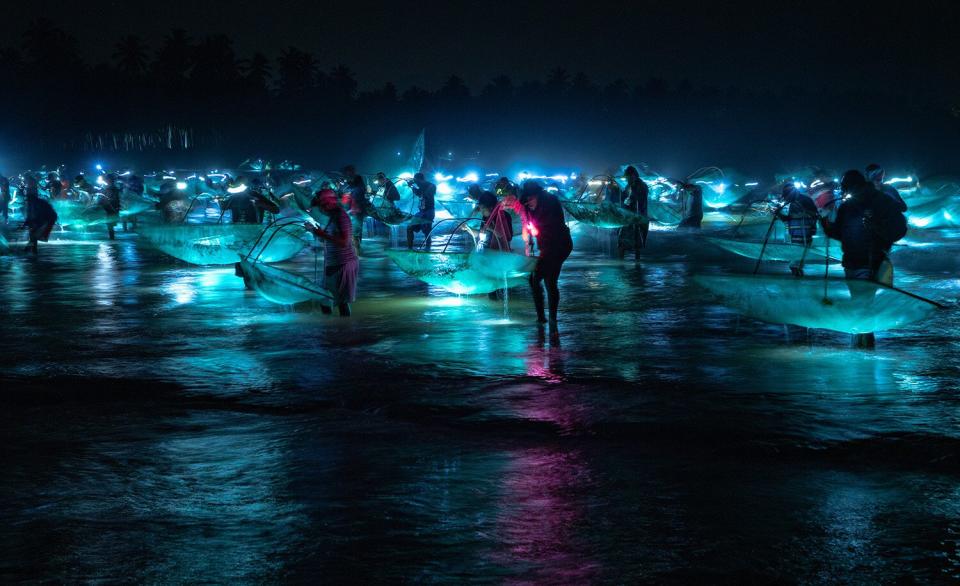 Wildlife Photographer of the Year People’s Choice Award Shortlist - Fishing for glass eels by Eladio Fernandez, Dominican Republic