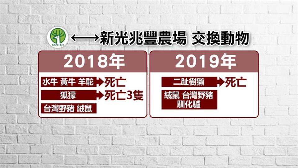 北市動物園遭爆動物交換管理疏失　簡舒培：沒追蹤如同棄養