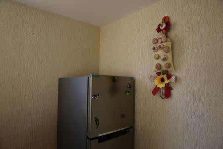 A fridge stands in the kitchen of Cipriano Lima in the town of Nueva Fuerabamba in Apurimac, Peru, October 2, 2017. REUTERS/Mariana Bazo