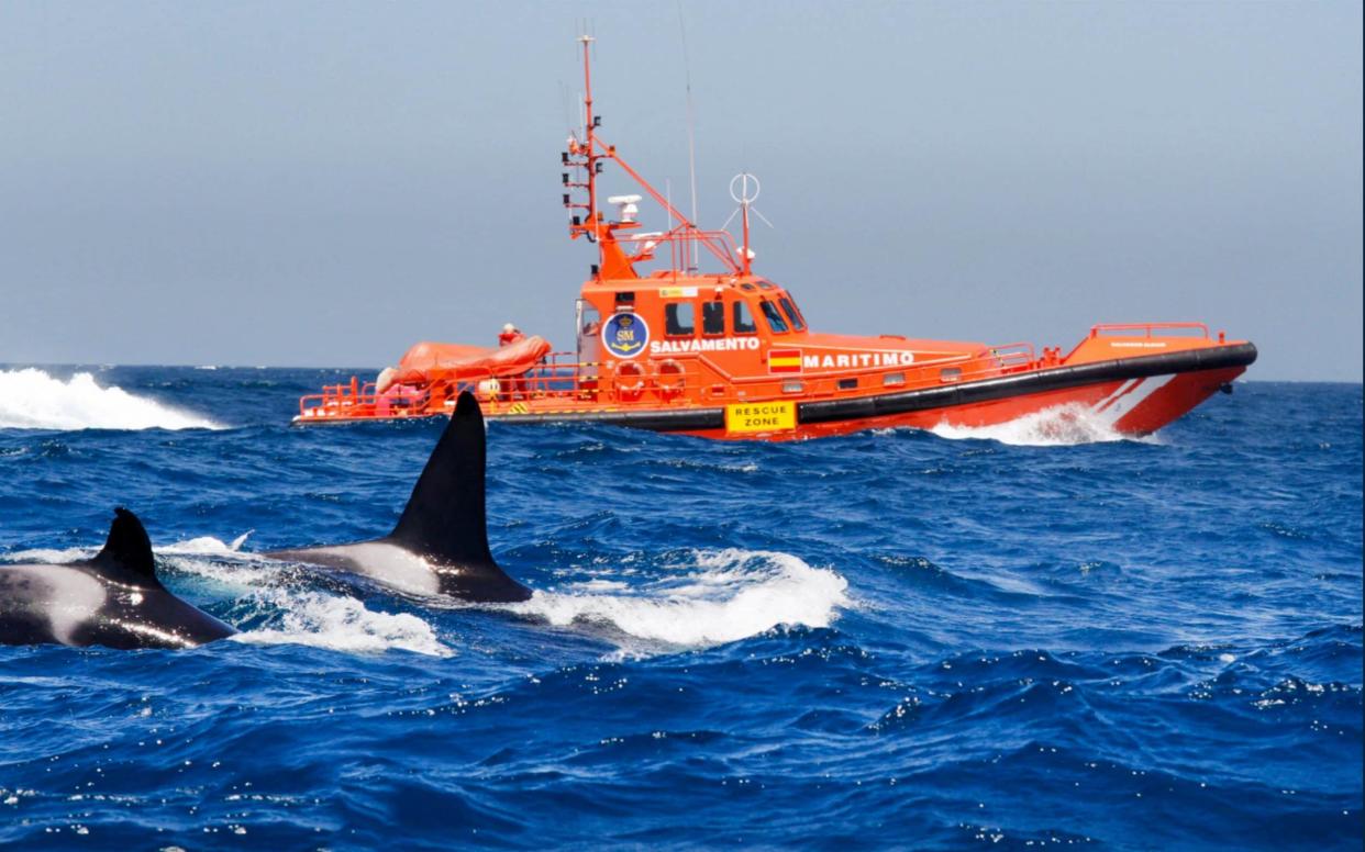 SAILING boats over 50 feet long have been banned from a stretch of Spain's northern coast - Solarpix