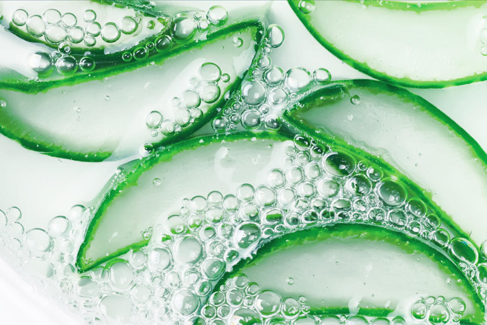 Hydratant et apaisant, l'aloe vera soigne tous les petits maux de l'été (Photo : Getty Images)