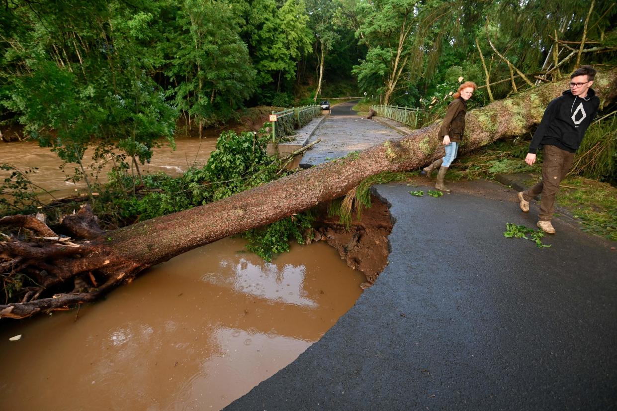 People pass by the trunk of a tree that had fallen onto a passage which was damaged following heavy rains and flood in Echtershausen, near Bitburg, western Germany, on July 15, 2021. - Heavy rains and floods lashing western Europe have killed at least 59 people in Germany and eight in Belgium, and many more people are missing as rising waters caused several houses to collapse on July 15, 2021. (Photo by SEBASTIEN BOZON / AFP) (Photo by SEBASTIEN BOZON/AFP via Getty Images)