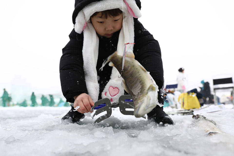 冰雪王國華川山鱒魚節（Photo by Chung Sung-Jun, Image Source : Getty Editorial）