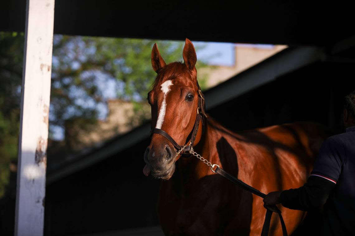 Rich Strike turned 4 years old on April 25. He will make his 2023 racing debut in Friday’s Alysheba Stakes at Churchill Downs.