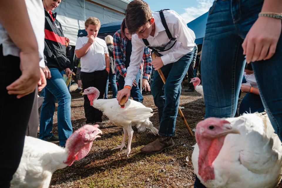 Jaiden Stine, 12, of Gnadenhutten, grooms his market turkey Sept. 19 at the Tuscarawas County Fair in Dover.