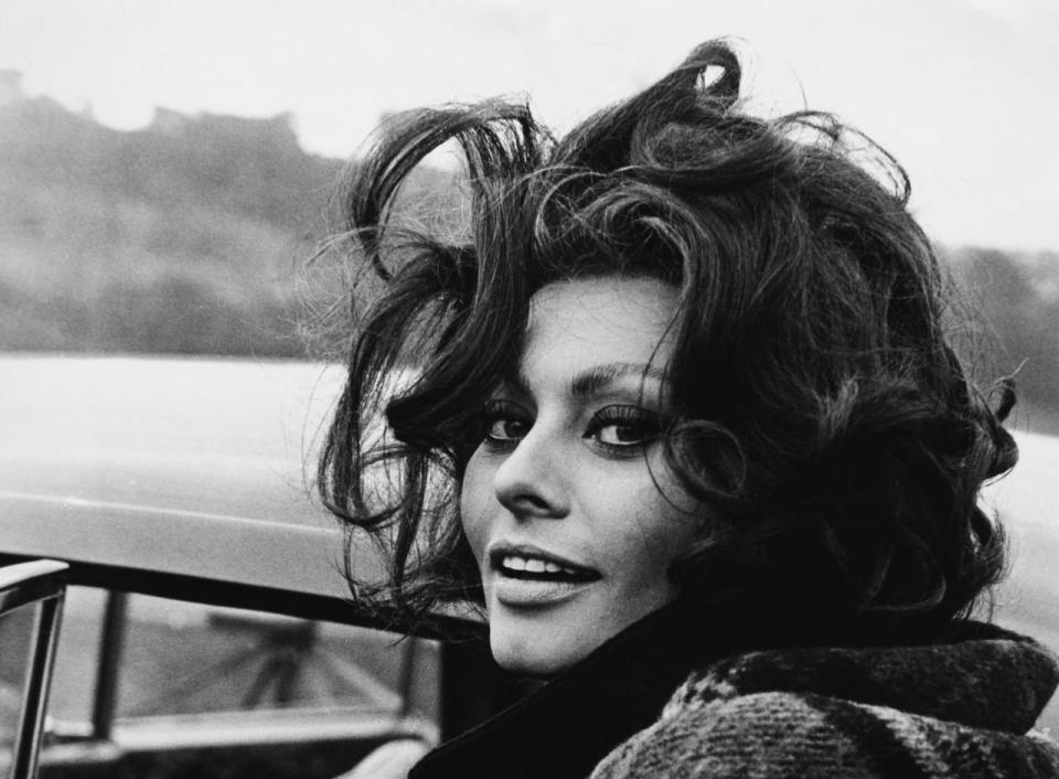 Sophia Loren 