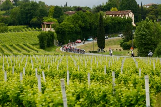 The Giro d'Italia peloton rides through the Venetian hinterlands in Stage 18