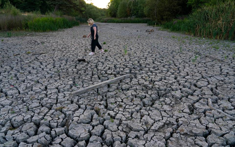 A pond has dried up and conkers have started to fall at a park in Wanstead, east London - Jeff Moore