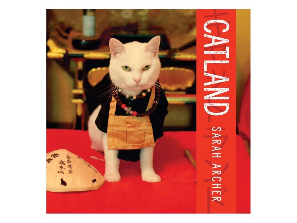 catland book