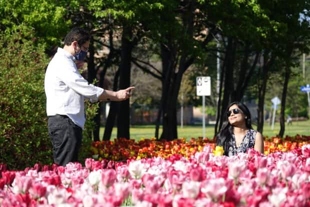 A woman has her photo taken among the tulips at Ottawa's Commissioners Park on May 13, 2021, during the third wave of the COVID-19 pandemic. (Giacomo Panico/CBC - image credit)