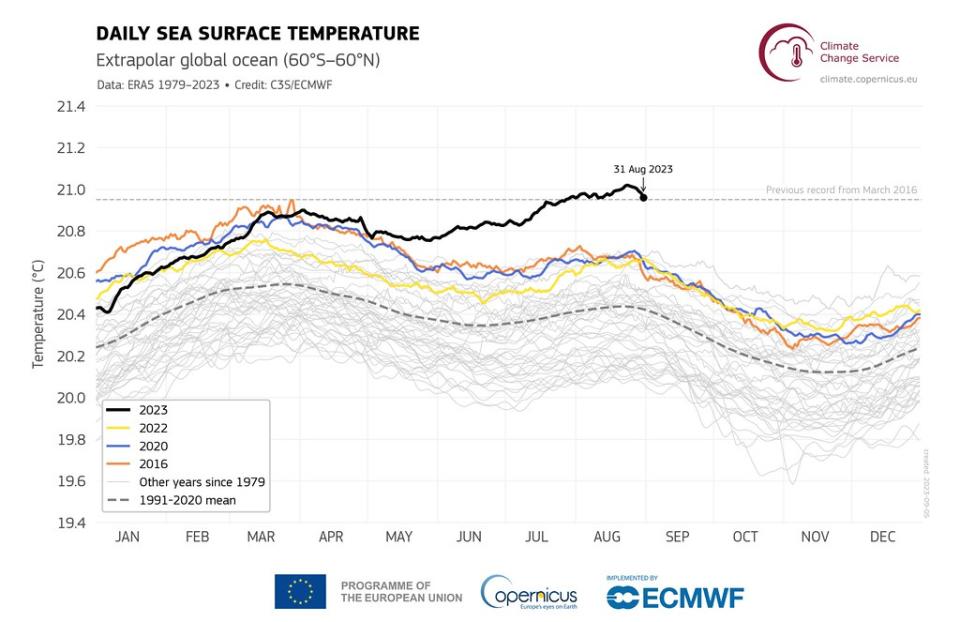 plot_era5_daily_series_stacked_sst_60S-60N_final